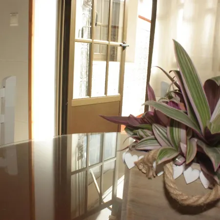 Aligustres Apartment *