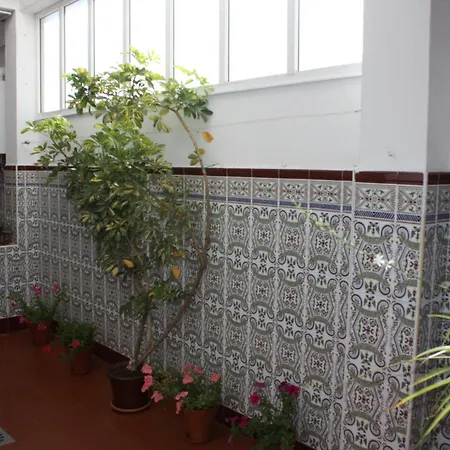 Aligustres Apartment